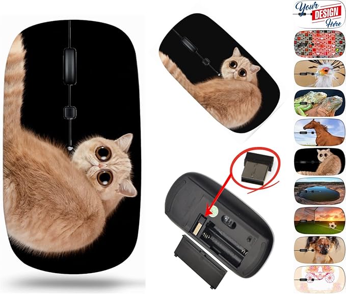 maizi Mouse Wireless for Mac Laptop PC Chromebook Mouses Wireless Image ID: 26227899 Funny Surprised cat Exotic Domestic 2.4G Lightweight with USB Receiver Printed in USA
