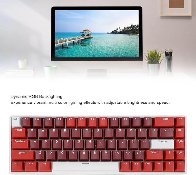 Yoidesu 60 Percent Gaming Mechanical Keyboard RGB Backlit Type C Portable Wired with Red Switch Compact and Slim for Computer Gaming with USB Port