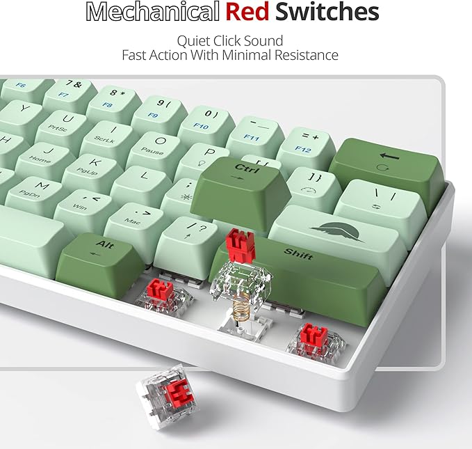 60% Mechanical Keyboard - Compact Gaming Keyboard with RGB Backlit 61 Green Switch Keys USB Wired for Windows Mac Laptop PC