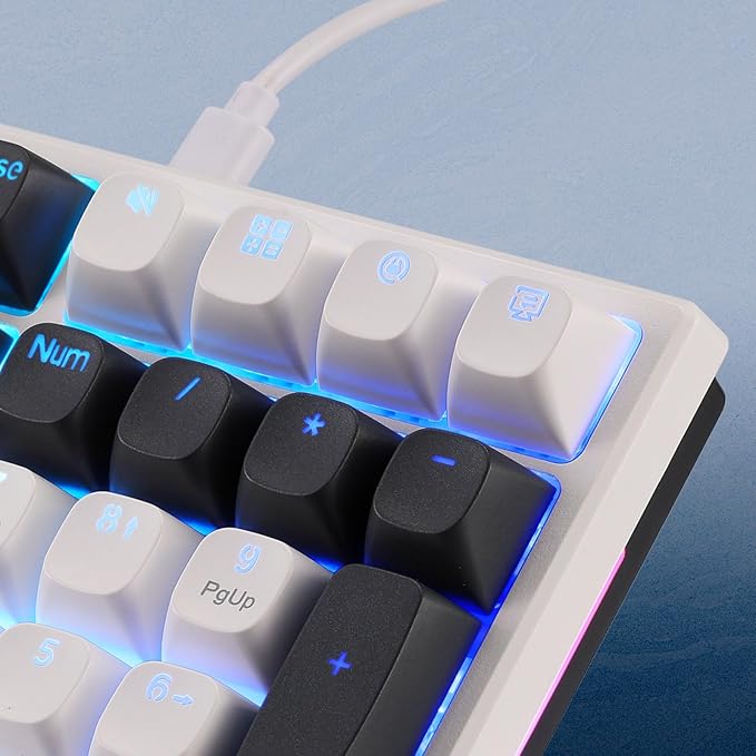 Redragon K668 Wired Gasket RGB Gaming Keyboard 108 Keys Mechanical Keyboard w/Extra 4 Hotkeys Upgraded Hot-swappable Socket Sound Absorbing Foam Mixed Color Keycaps Custom Linear Switch