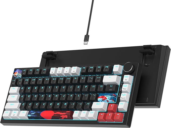 75% Mechanical Gasket Mount TKL Gaming Keyboard - Wired Custom Hot Swappable RGB Backlit for PC &amp Laptop Gamers (Black)