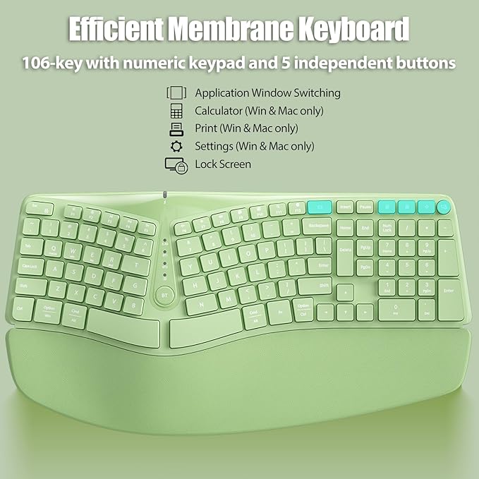 Bow Split Ergonomic Keyboard Wireless with Cushioned Wrist &amp Palm Rest Wireless 2.4G/Bluetooth/Wired USB-C Comfortable Natural Typing Compatible with Windows/Mac/PC/Laptop Matcha Green