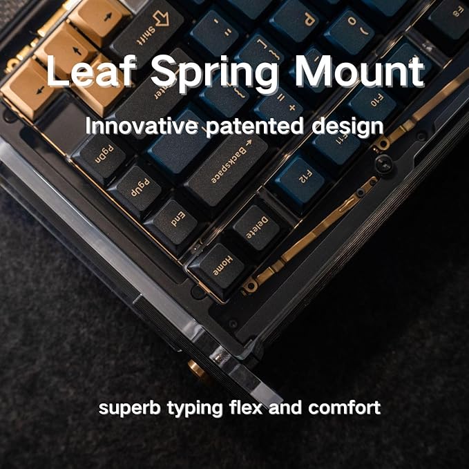 Black Diamond 75% v2 RGB Wireless Mechanical Gaming Keyboard 2.4G 2ms Latency Tri-Mode Connection Leaf Spring Mount Custom Internals Hotswapable Switch
