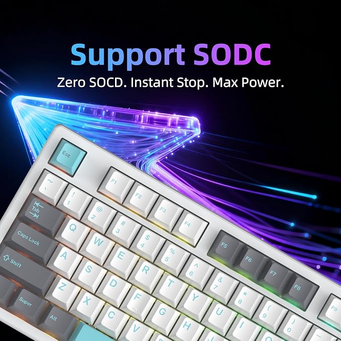 FE87 V2 Wired Mechanical Keyboard Dual 8KHZ Polling Rate Support SODC/Latency As 0.125MS/ARGBHot Swappable Gasket Sturcture Gaming Keyboard (White/Green Phoenix Switch)