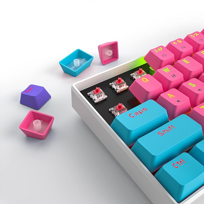 Fogruaden 60% Mechanical Keyboard 61 Keys Gaming Keyboard RGB Backlit Ultra-Compact 60 Percent Wired Keyboard for Win/Mac PC Gamer Easy to Carry on Trip (Pink Red Switch)