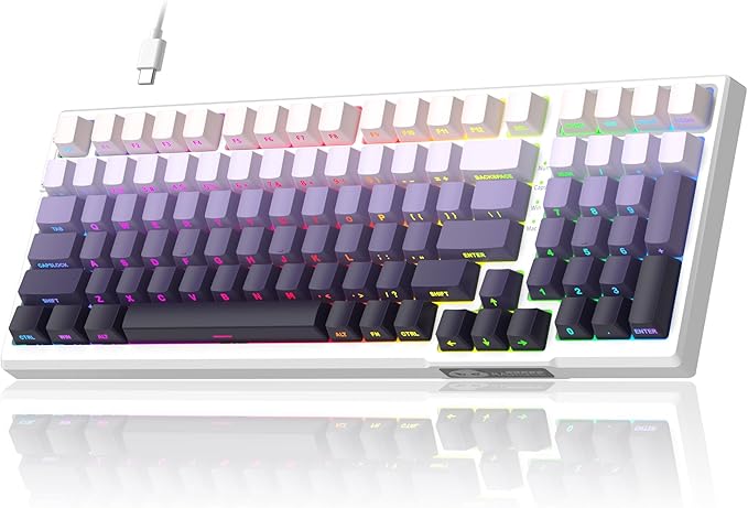 MageGee SKY98 Mechanical Gaming Keyboard 96% Hot Swappable Wired Custom Creamy Keyboards w/ 5-Layer Sound Dampening RGB Backlit Side Printed Keycaps for Win/Mac (White &amp Purple Purple Bird Swi
