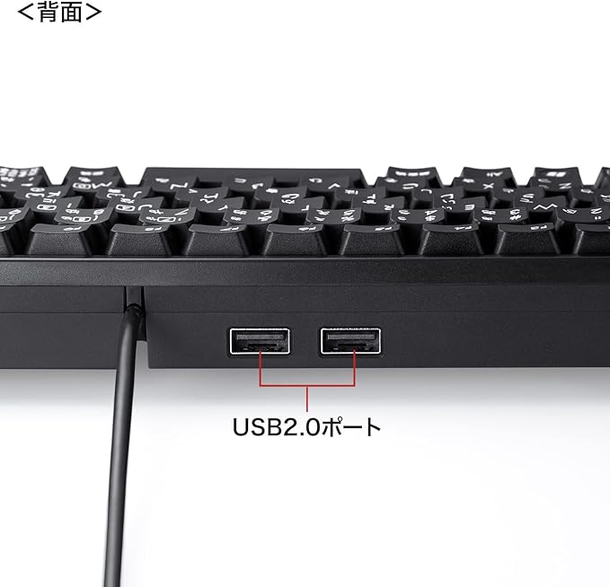 Sanwa Supply SKB-KG3UH2BK Compact Keyboard with USB Hub Black No Numeric Keypad