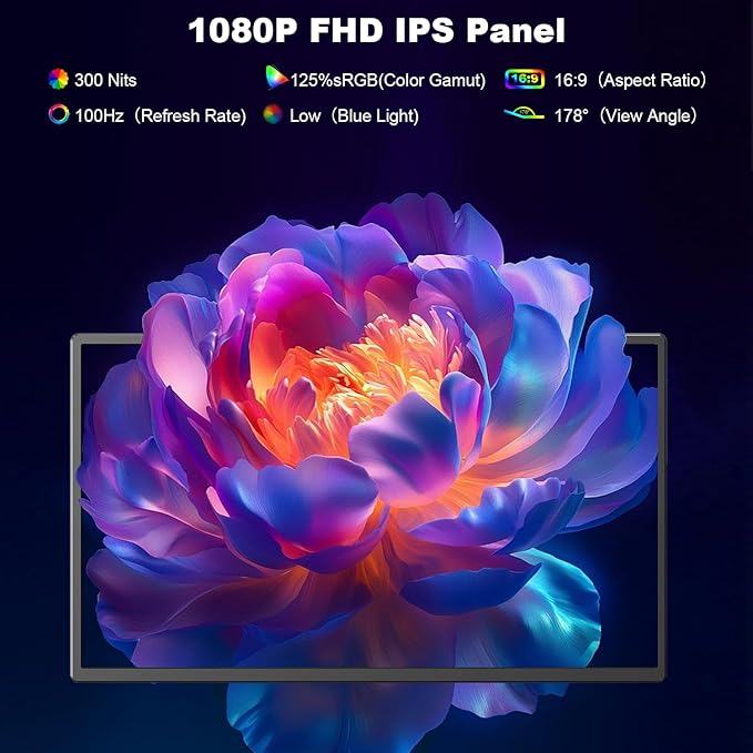 24 Large Portable Monitor 1080P FHD 100Hz Laptop Screen Extender 125% sRGB IPS Monitor Extender USB C HDMI Office Gaming with Detachable Stand Travel monitor for Window MAC Phone Xbox Switch