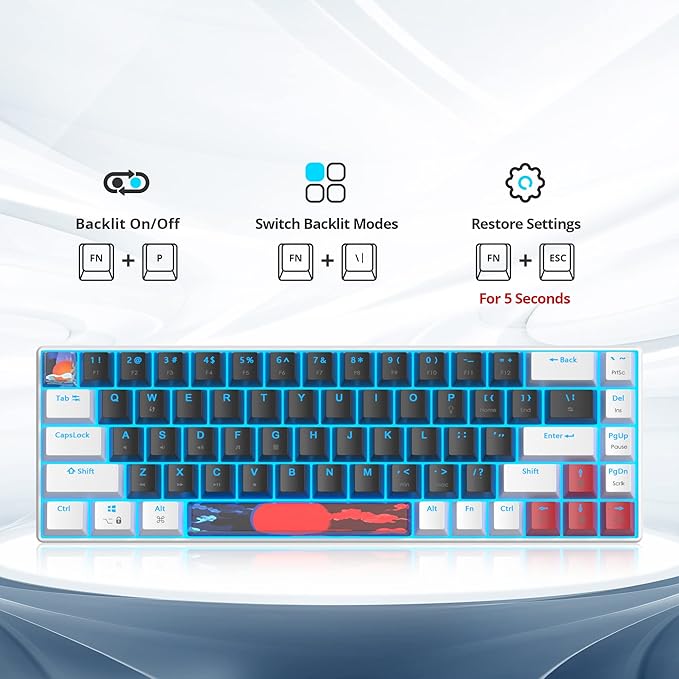 60 Percent Gaming Keyboard 68 Keys Mechanical Keyboard LED Backlit Compact Wired Keyboard with Red Switch for Windows PS4/5 Xbox Gamer(White-Black)