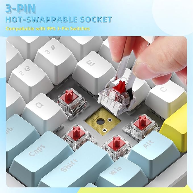 LexonElec RK-84 Portable Mechanical Gaming KeyboardRainbow LED Backlit Compact 84 Keys Mini Wired Office Keyboard with Red Switch for Windows Laptop PC Mac-White/Blue/Orange