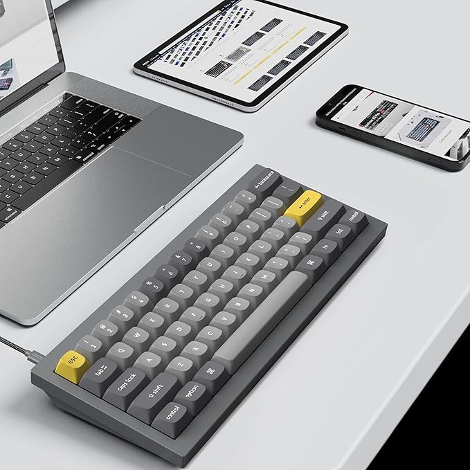 Keychron Q4 Wired Custom Mechanical Keyboard 60% Layout QMK/VIA Programmable Macro with Hot-swappable Gateron G Pro Brown Switch Double Gasket Compatible with Mac Windows Linux (Gray)