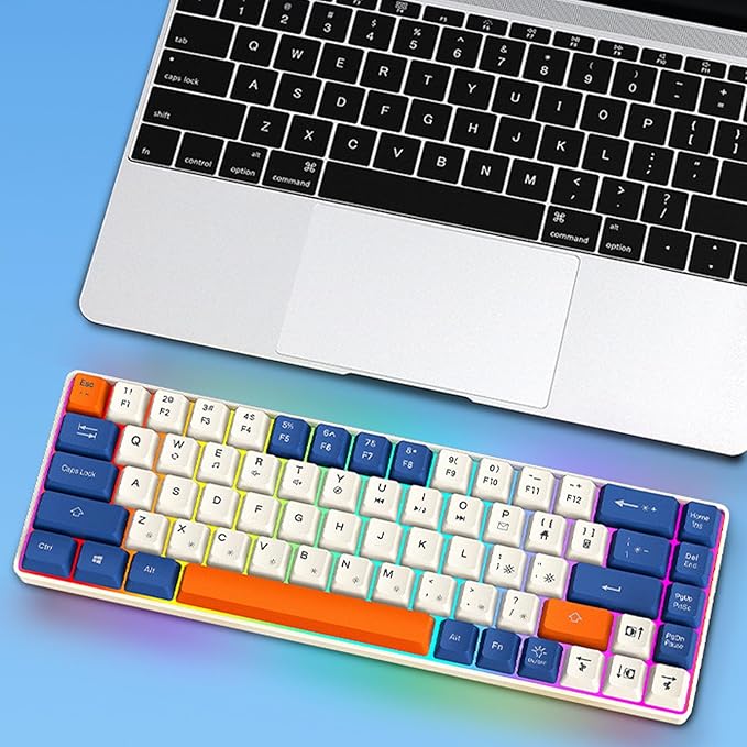 60% Mechanical Gaming Keyboard with Full Key Rollover Wire Keyboard for High Intensity Gaming Quiet Mechanical Keyboard