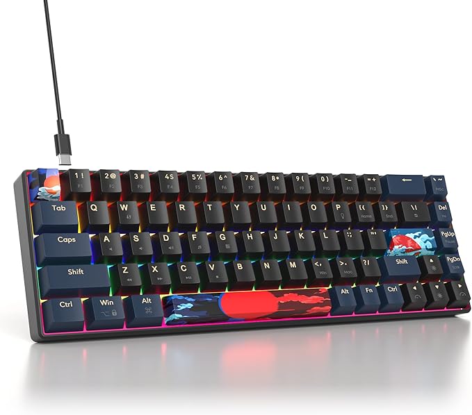 60 Percent Gaming Keyboard Mechanical with Linear Red Switch 65% Wired Ultra-Compact Mini Keyboard Rainbow with PBT Keycaps for Ps4/Ps5/Xbox(68 Blue)