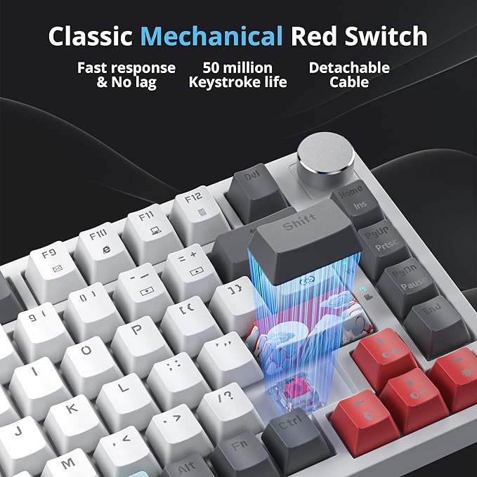 75 Percent Keyboard Gasket-Mounted with Sound Absorbing Pads 82-Key Compact Wired RGB Mechanical Gaming Keyboard Hot-Swap Socket for Win Gray White