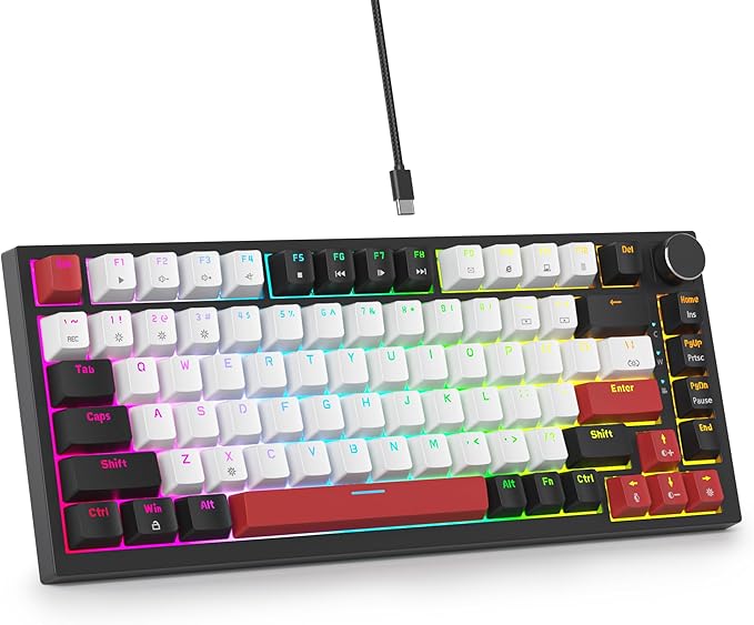 75 Percent Keyboard Gasket-Mounted with Sound Absorbing Pads 82-Key Compact Wired RGB Mechanical Gaming Keyboard Hot-Swap Socket for Win White