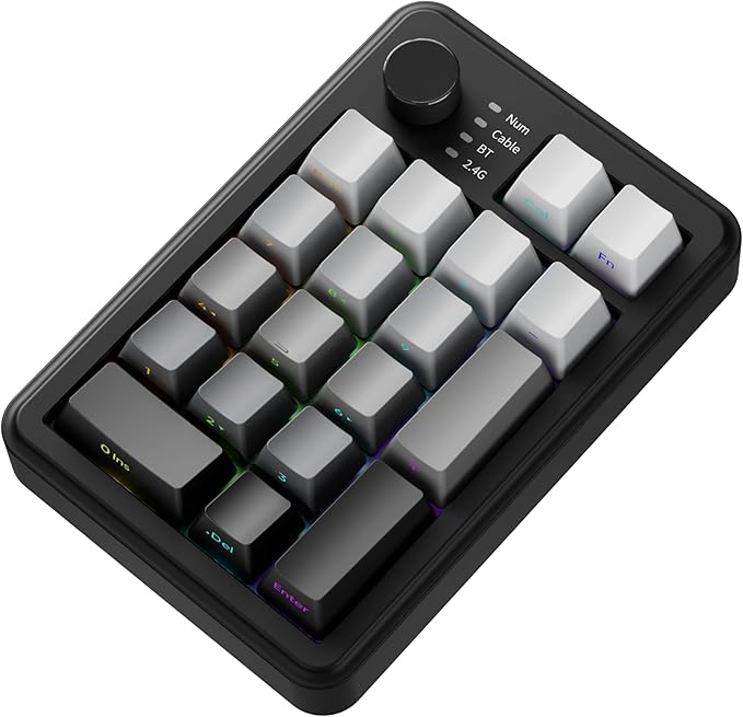 EWEADN NK20 Wireless Retro Mechanical Numpad with Knob Bluetooth/2.4GHz/USB-C Connect with RGB Backlight Hot Swappable Number Pad 20-Key Rechargeable External Num Pad for Win Mac Black Gray