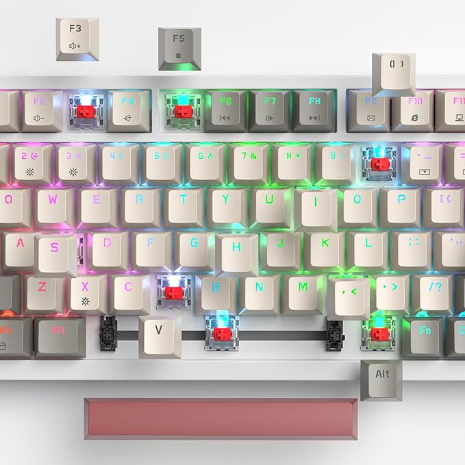 75% Wired Gaming Keyboard Hot Swappable Gasket Mount Red Switch RGB Backlit 82 Keys TKL Mechanical Keyboard NKRO Compact for PC Laptop Windows Gamer (Gray Rice)