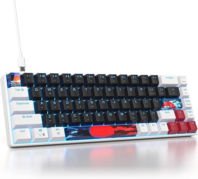 60 Percent Gaming Keyboard 68 Keys Mechanical Keyboard LED Backlit Compact Wired Keyboard with Red Switch for Windows PS4/5 Xbox Gamer(White-Black)