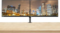 Lenovo ThinkVision S24e-20 23.8 Full HD 1920 x 1080 WLED LCD Monitor 2-Pack 250 Nit FreeSync HDMI-VGA Raven Black Bundle with Adjustable Desk Mount Monitor Stand