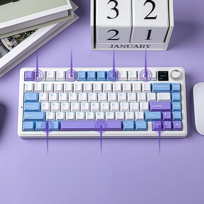 EPOMAKER X Aula F75 MAX Wireless Mechanical Keyboard with TFT Screen and Knob Gasket Gaming Keyboard in 75% Layout Hot Swappable RGB Backlight for PC/Mac/Linux (Blue&ampWhite&ampPurple)