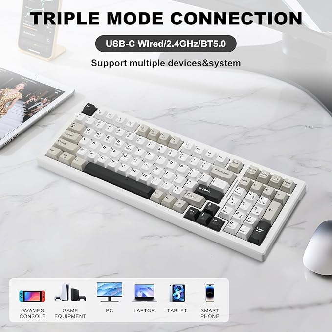 Wireless Game Mechanical Keyboard BT5.0/2.4GHz/USB Multi-Color LED with 18+ Modes Hot-Swappable Custom Keyboard Red Creamy Switches Gaming Keyboard for PC/Mac (Black White)