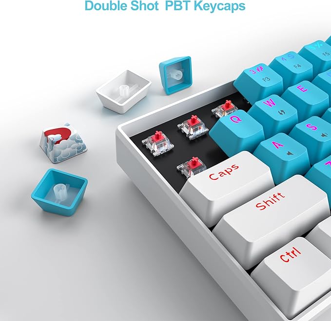 Fogruaden 60 Percent Keyboard Mechanical Gaming Keyboard 60 Percent RGB Backlit Mini Wired 60% Keyboard with Red Switch for Win/Mac PC Laptop (Blue Red Switch)