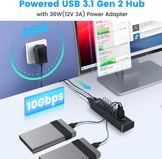 Powered USB Hub Rosonway 10 Port USB 3.1/3.2 Gen 2 Hub 10Gbps with 36W (12V/3A) Power Adapter Type A and Type C Cables Aluminum USB C Hub Splitter for PC and Laptop (RSH-A10S)