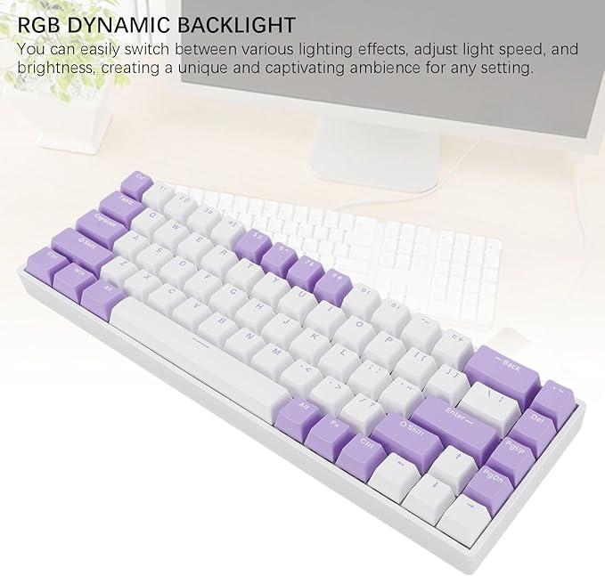 Yoidesu Mechanical Keyboard USB C Wired Gaming Keyboard Blueberry Theme Keycap RGB Backlit 68 Keys Blue Switch Computer Keyboard for Wins 2000 ME for Vista
