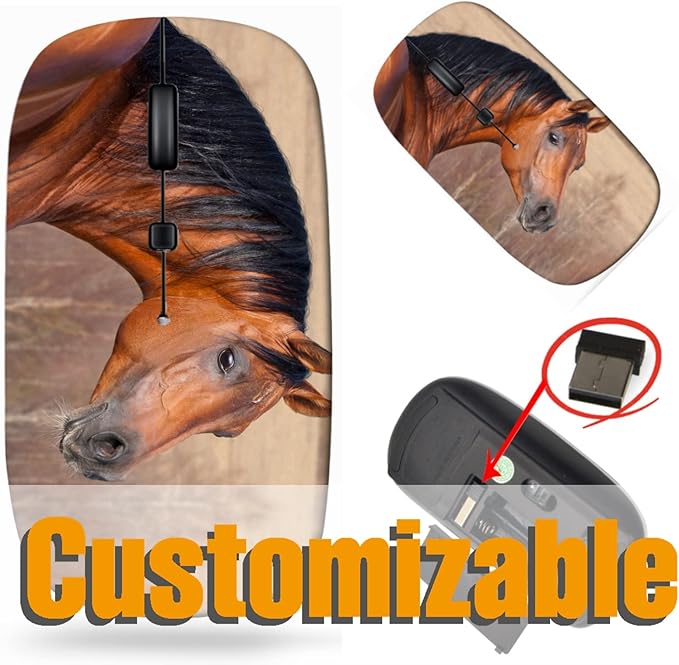 maizi Wireless Mouse White for PC Computer Chromebook Notebook Wireless Mice White 29129260 Chestnut Horse Head a 2.4G USB Receiver Portable Printed in USA
