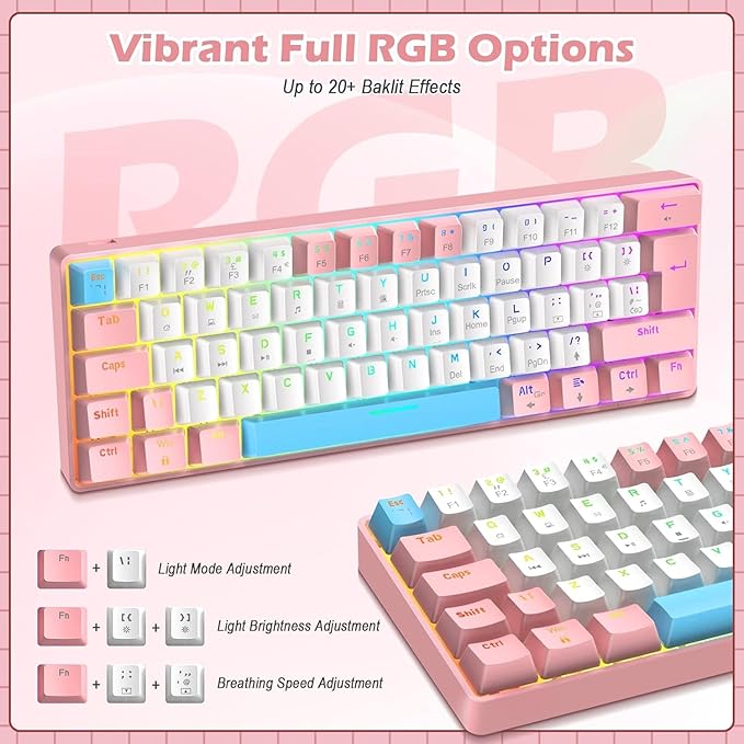 ZIYOU LANG RK-T60 Wired Mechanical Gaming Keyboard Mini Portable with Rainbow Backlit 62Key ABS Keycaps Full Anti-Ghosting Ergonomic Design Coiled Aviator Cable for PS4/PC/WIN Gamer(Pink/Blue Switch)