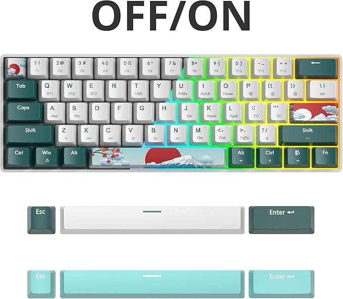 surmen Wireless Keyboard 60% Gaming Keyboard 60 Percent Hot Swappable RGB Mini Bluetooth BT5.0/USB-C Mechanical Keyboard with Software for Windows Mac Laptop (Gateron Red Green 61)