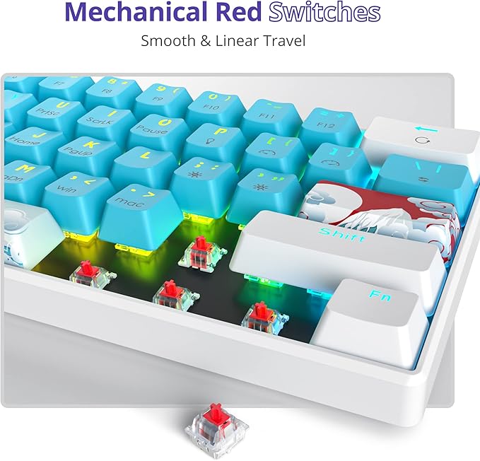 Fogruaden 60 Percent Keyboard Mechanical Gaming Keyboard 60 Percent RGB Backlit Mini Wired 60% Keyboard with Red Switch for Win/Mac PC Laptop (Blue Red Switch)