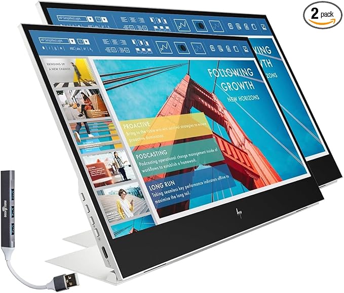HP 14 FHD IPS Portable Monitor with 5ms Response Time Anti-Glare Flicker Free 400 nits Brightness USB-C &amp Dockztorm USB Port Expander Silver Color 2 Pack