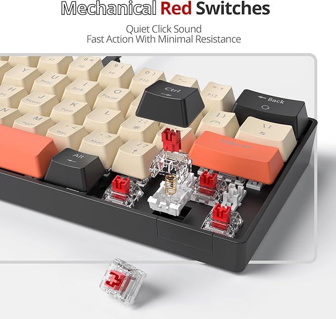 60% Mechanical Keyboard 61-Key Wired Gaming Keyboard with Red Switch RGB Lighting Effect PBT Keycaps Ultra-Compact Mini Keyboard Suitable for Win/Mac(61 Carbon)