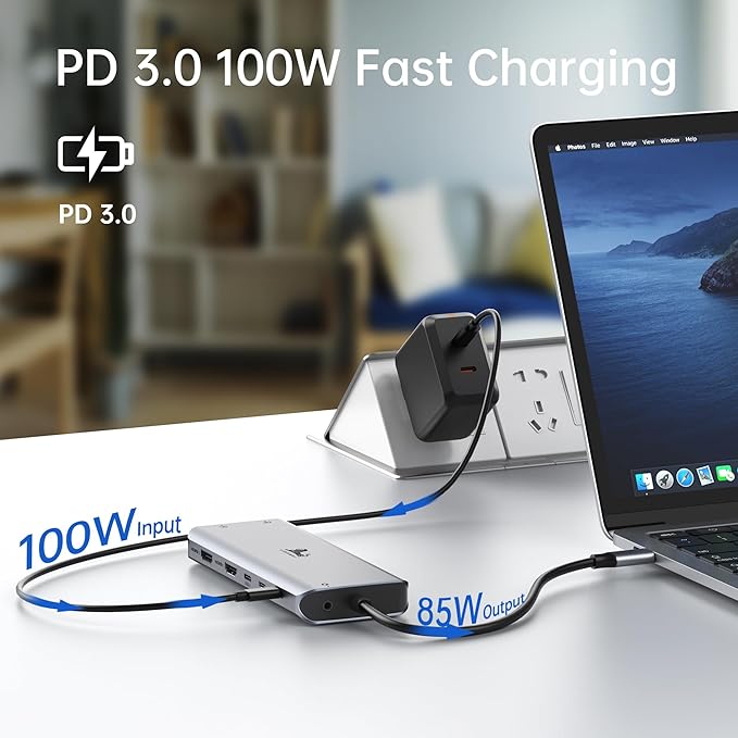 LIONWEI Laptop Docking Station 13 in 1 - Dual HDMI+DisplayPort+10Gbps 6 USB C/A 100W PD Ethernet SD/TF Audio USB C Hub for MacBook/Dell/HP/Surface