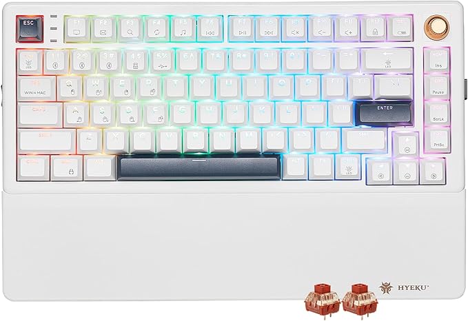 Wireless Mechanical Keyboard with Knob &amp Wrist Rest Hot Swap Gasket Custom Structure Creamy Pre-lubed Tactile Switches RGB Backlit Bluetooth/Type-C/2.4G Gaming Keyboard for Win/Mac (White)