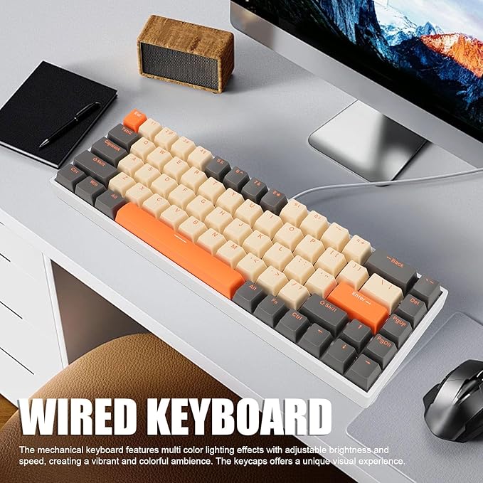 60% Mechanical Gaming Keyboard Dynamic RGB Backlit Gaming Keyboard 68 Keys Mini Wired Office Keyboard with Red Switch Full Key Hot Swappable for Laptop PC