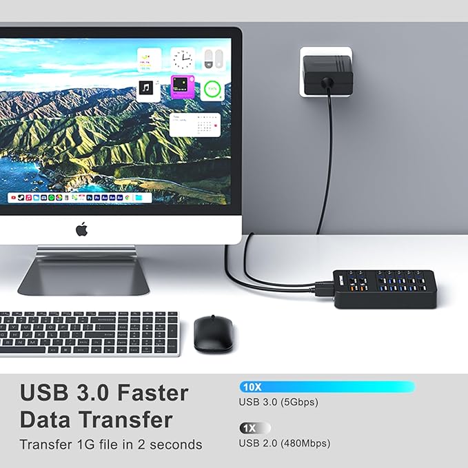 Powered USB Hub SENTANK 14 Port USB 3.0 Hub Splitter (6 USB 3.0 Data Ports + 4 Fast Charging Ports) with Independent LED On/Off Switch with 60W Power Adapter for Mac PC
