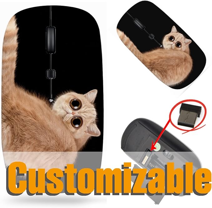 maizi Mouse Wireless for Mac Laptop PC Chromebook Mouses Wireless Image ID: 26227899 Funny Surprised cat Exotic Domestic 2.4G Lightweight with USB Receiver Printed in USA