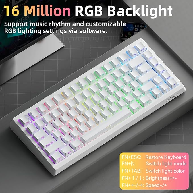 LEOBOG A80 RT Hall Effect Gaming Keyboard Wired Rapid Trigger Magnetic Switch Keyboard with 0.01mm RT Adjustable Actuation 8000Hz Polling Rate RGB Backlit Mechanical Keyboard 75% for PC Gamer