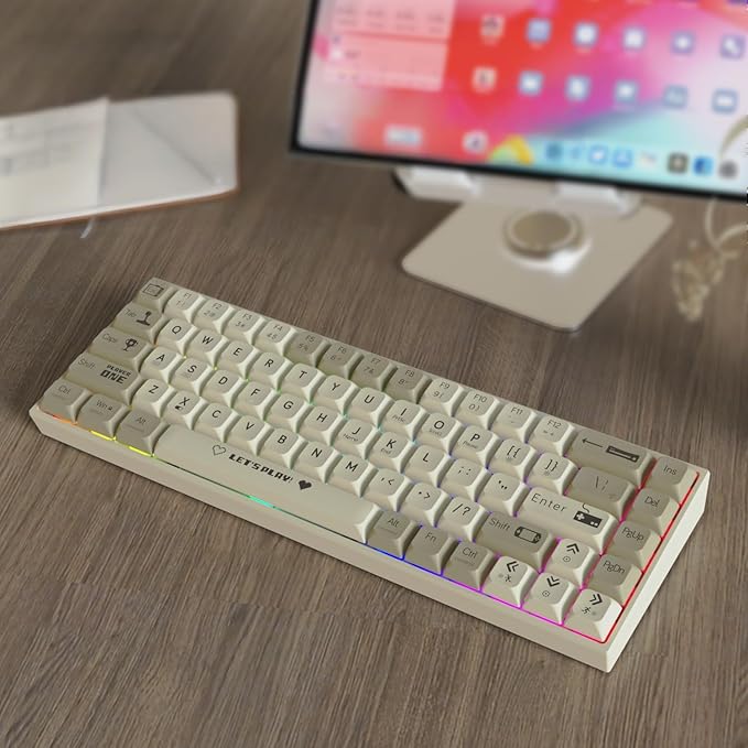 AK680 Wired Compact Mechanical Keyboard 68 Keys Grey-White Layout Hot-Swappable Tactile Brown Switch Gaming Keyboard with Multicolor Backlight Eva Foam Dampening for Gaming &amp Typing