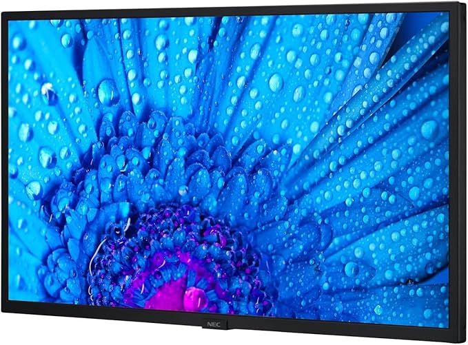 NEC MultiSync M321