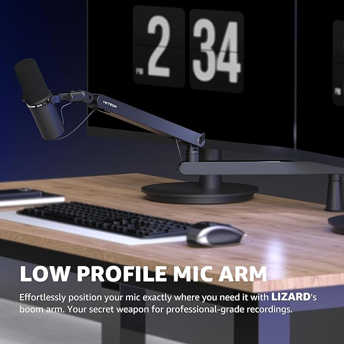 IXTECH Mic Arm Desk Mount Low Profile 360° Swivel Mic Boom Arm Adjustable Microphone Arm with Detachable Rise Column and Built-In Cable Management for Streaming and Recording.