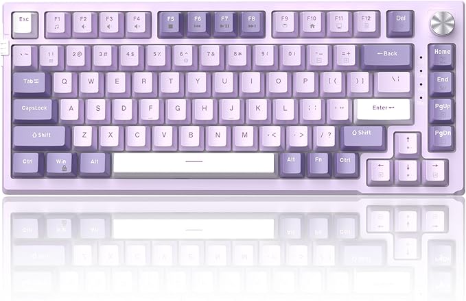 MageGee SKY81 75% Mechanical Gaming Keyboard Gasket Hot Swappable Wired Custom Creamy Keyboard with 5-Layer Sound Dampening Knob Control RGB Backlit NKRO for Win/Mac (Violet Violet Switch)