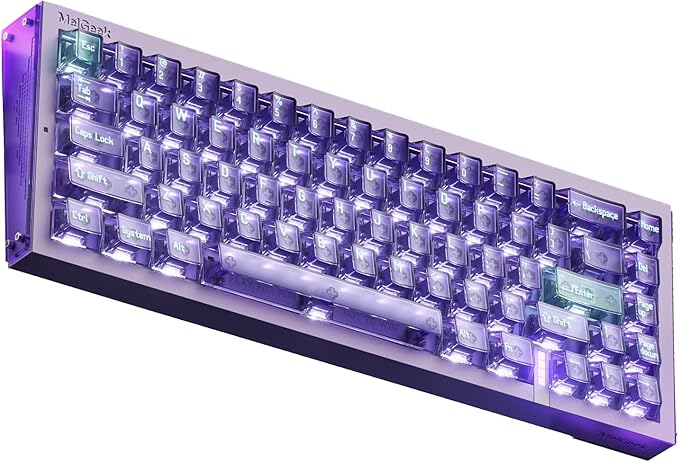 MelGeek REAL67 Wired Gaming Keyboard with RGB Magnetic Keyboard with Hall Effect Rapid Trigger Hot-Swappable Snap Tap &amp Adjustable Actuation Online HIVE Custom (Potassium-Transparent Purple)