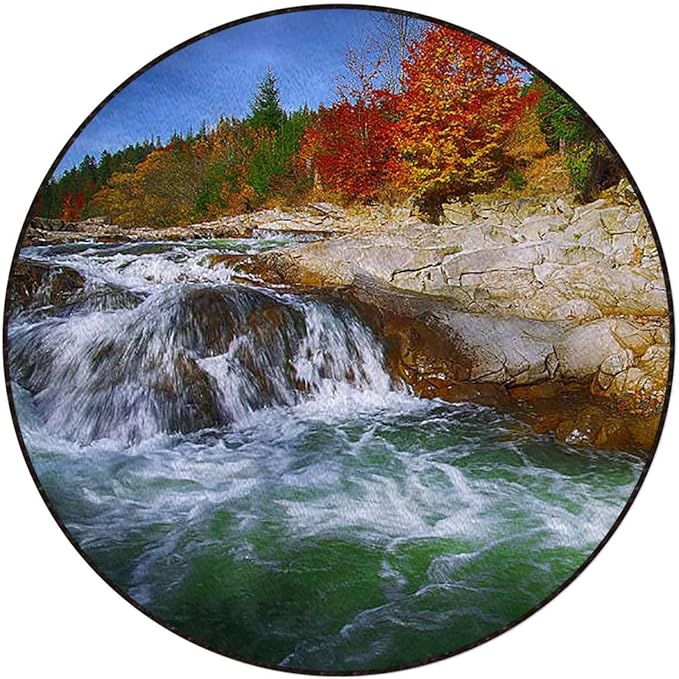 Scarlet Green Chair Mat for Hardwood Floor Round Floor Mats for Office Chair Computer Gaming Desk Mat for Rolling Chair Non-Slip Autumn Shore Colorful Forest Diameter 55 in