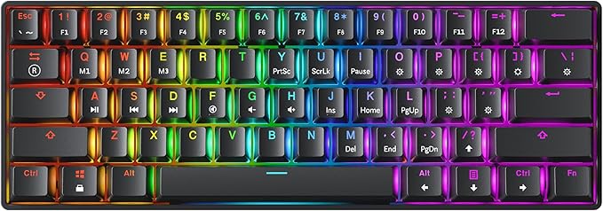 Mechanical Gaming Keyboard - 61 Keys Multi Color RGB Illuminated LED Backlit Wired Programmable for PC/Mac Gamer (Gateron Optical Silver Black)