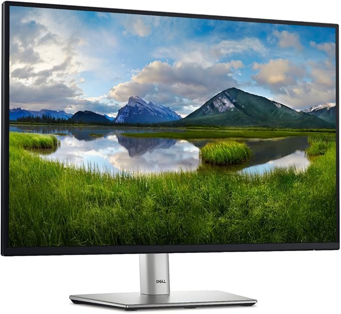 Dell P2425E 24 LED Monitor - 16:10 - Black Gray