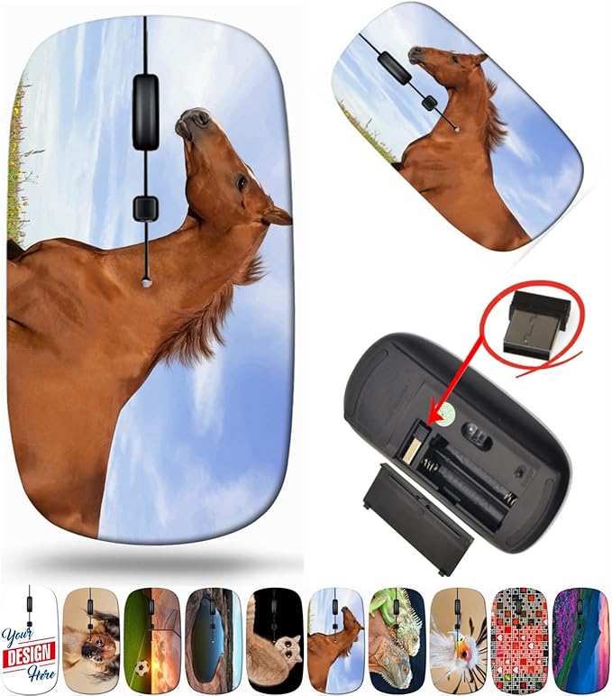 maizi Laptop Mouse Wireless for Chromebook Laptop PC NotebookLaptop Mouses Wireless Image ID: 27572854 Russian Don Horse Running Through th Portable 2.4G USB Receiver Printed in USA