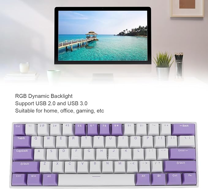 Vikye Mechanical Gaming Keyboard Portable 60% 61 Keys Type C Wired Keyboard with RGB Backlight for Laptop PC Red Switch with Blue Switch